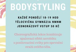 AEROBIC + BODYSTYLING