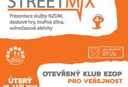 Streetmix – NZDM EZOP