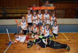 ČF – PŘÍPRAVKA, domácí turnaj (17. 2. 2019)