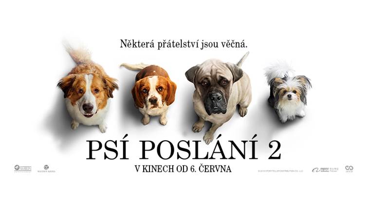 Letní kino – Psí poslání 2