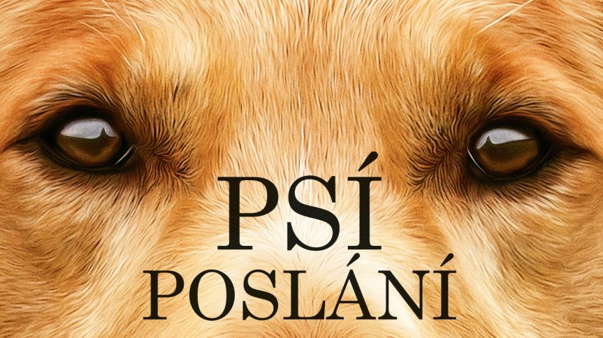 Letní kino – Psí poslání