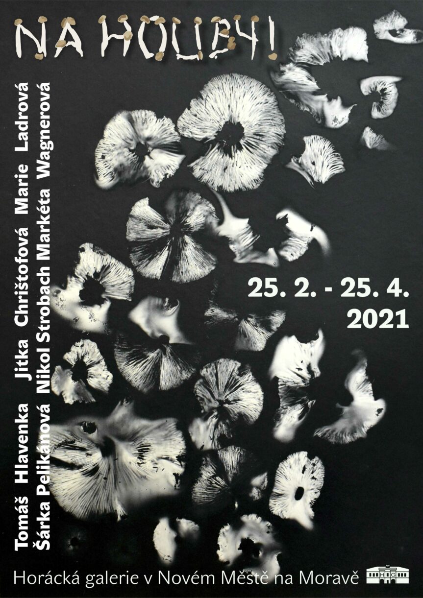 Na Houby_plakát_web