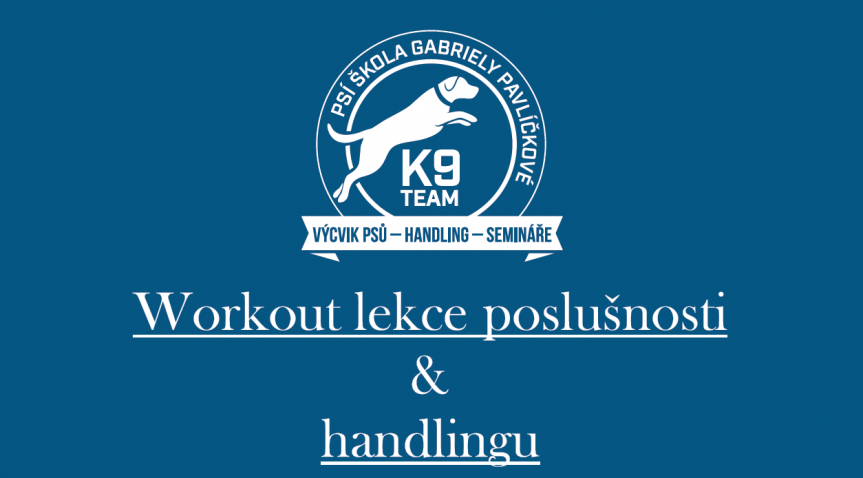 Workout lekce poslušnosti a handlingu