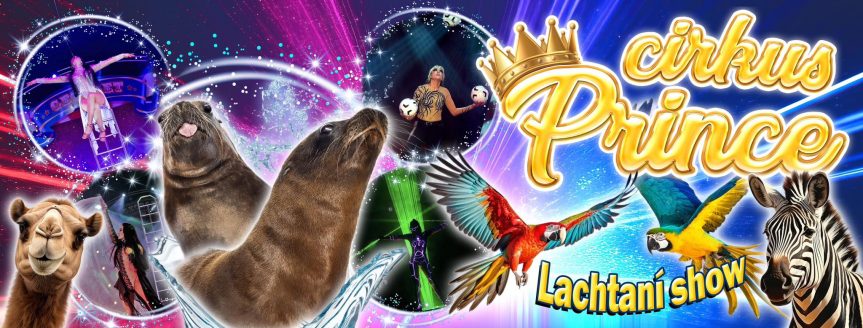 Cirkus Prince v Maršovicích – lachtaní show