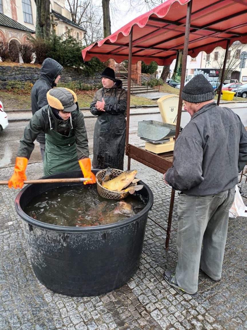 Vánoční prodej ryb na sádkách a na Vratislavově náměstí