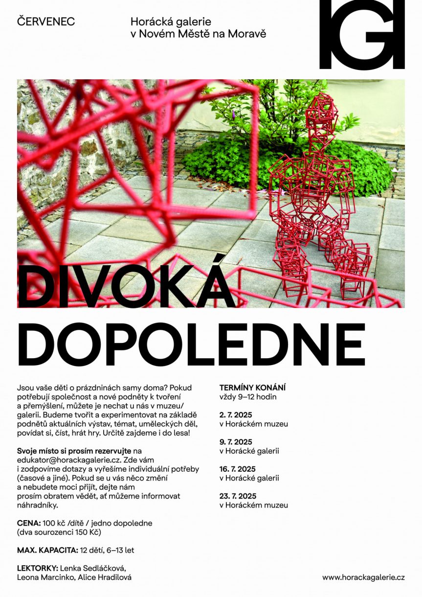 Divoká dopoledne