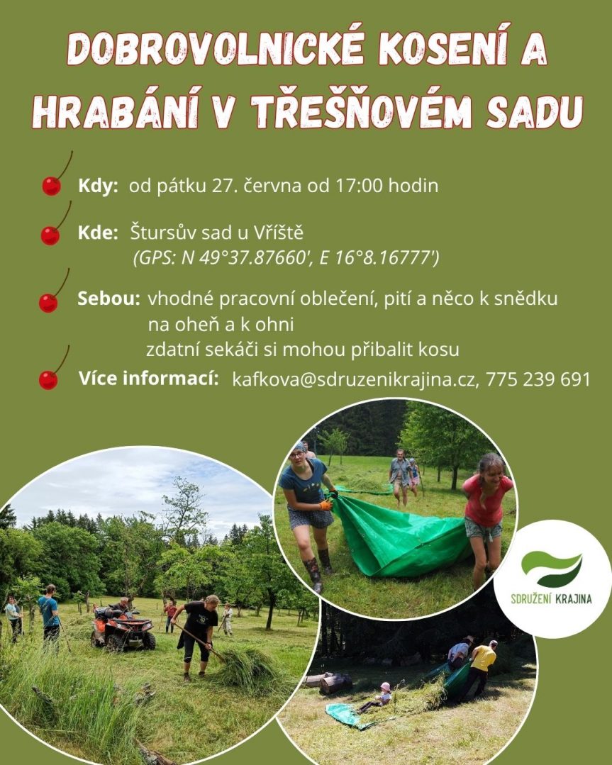 Dobrovolnické kosení a hrabání v třešňovém sadu