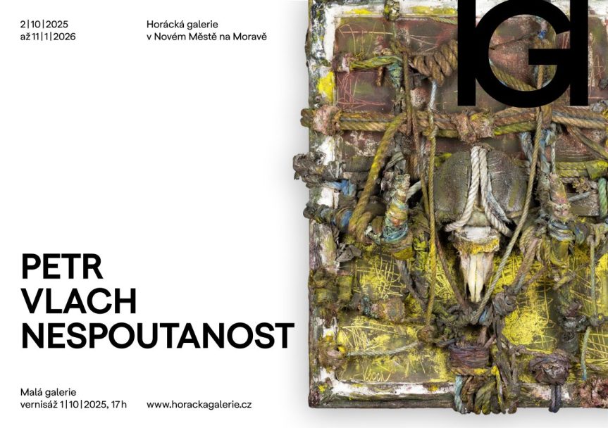 Volná prohlídka výstavy s autorem s Petrem Vlachem