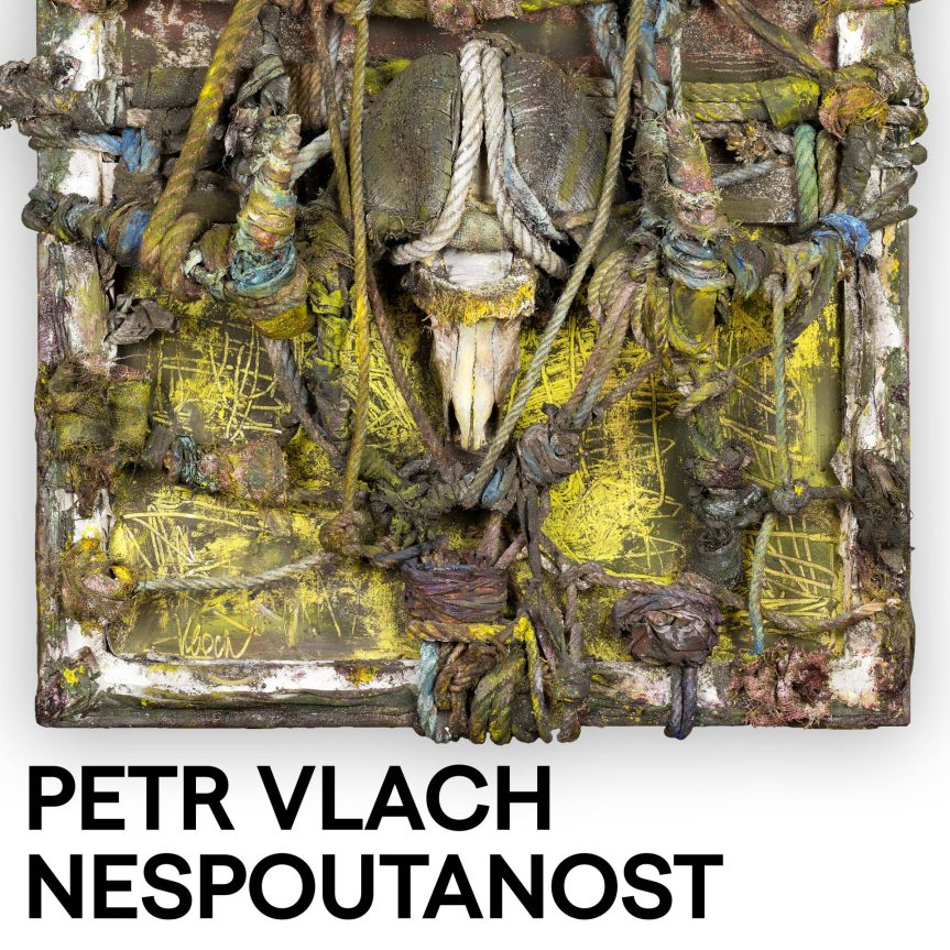 Komentovaná prohlídka výstavy Petr Vlach: Nespoutanost