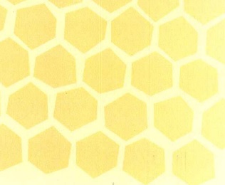 Med zázrak přírody – vědecky ověřené léčivé účinky medu a jejich praktické využití